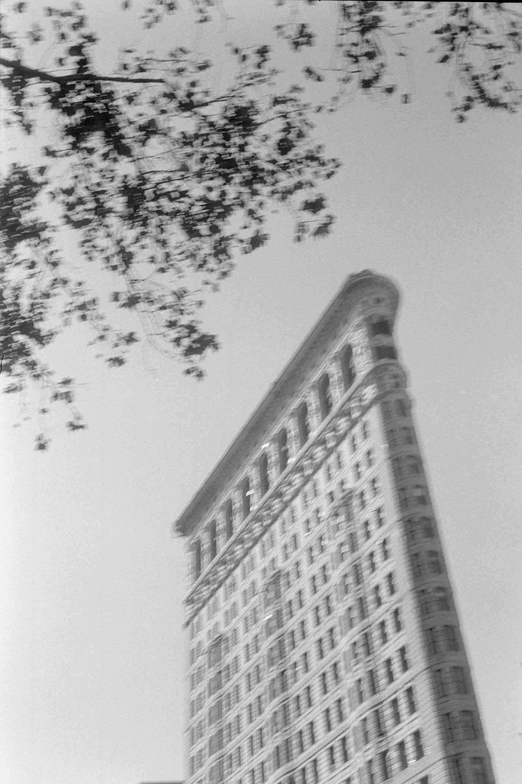 AHP FilmScan 240807 0817